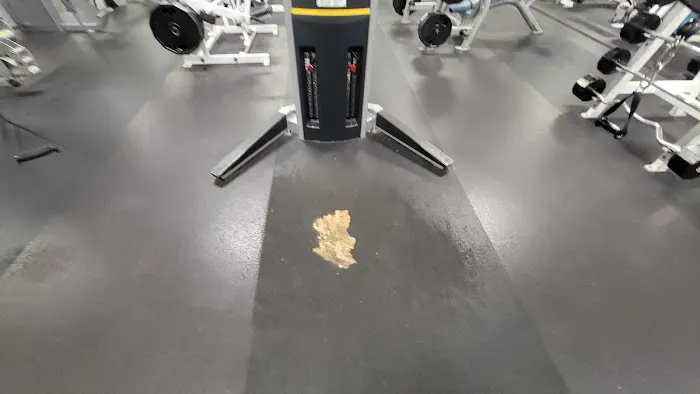 24 Hour Fitness Picture 2