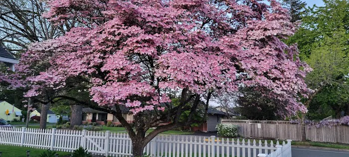 Sol Health Yoga Picture 4