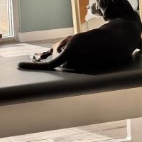 Pilates Body & Mind ico