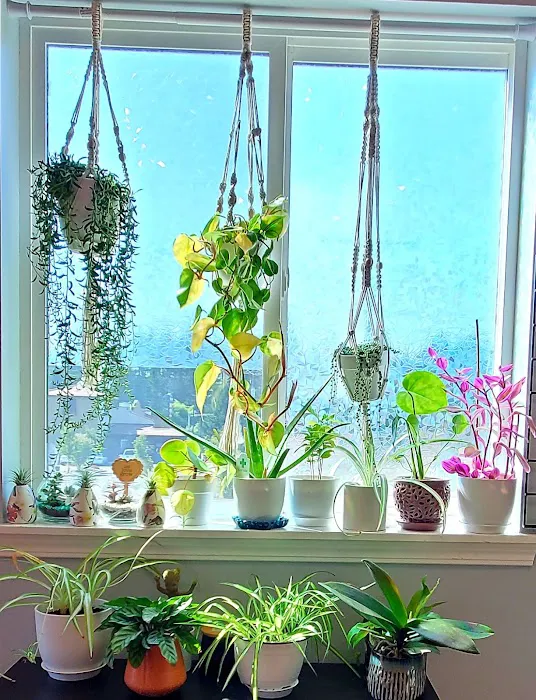 MW Fitness Studio & Boutique Picture 1