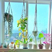 MW Fitness Studio & Boutique ico