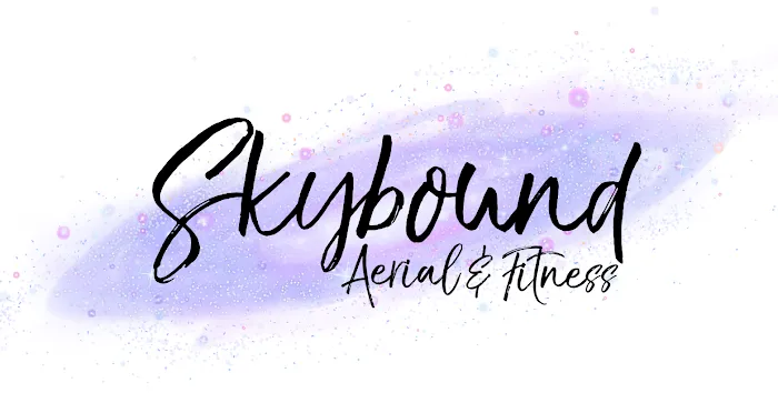 Skybound Aerial and Fitness, LLC Picture 9