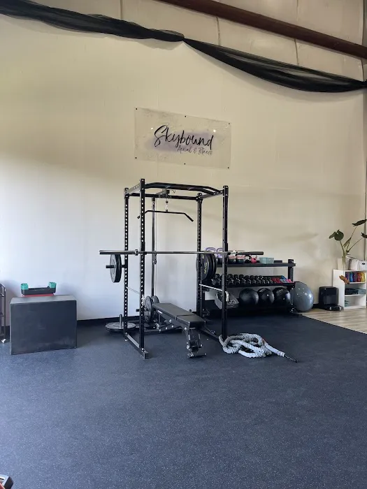 Skybound Aerial and Fitness, LLC Picture 1