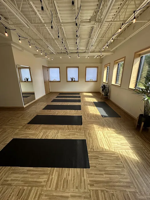 The Yoga Room Picture 4
