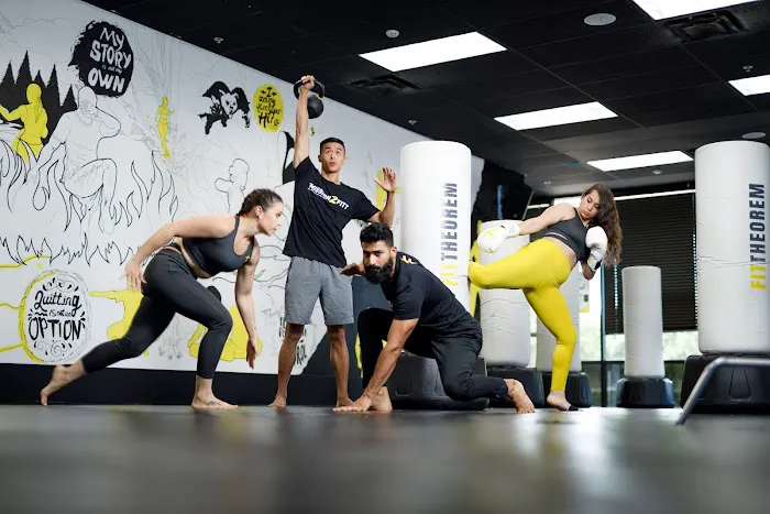 FitTheorem - Everett Picture 6