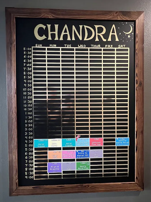 Omni Yoga Studio & Academy Picture 2