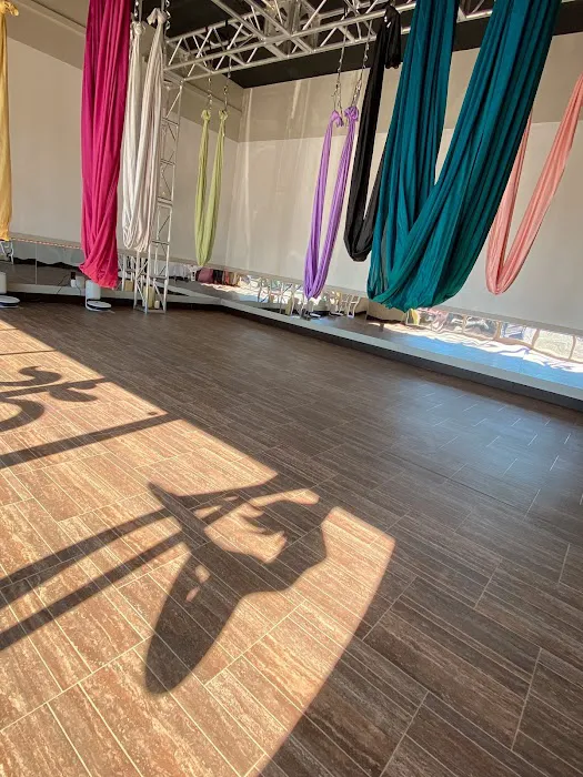 Omni Yoga Studio & Academy Picture 7