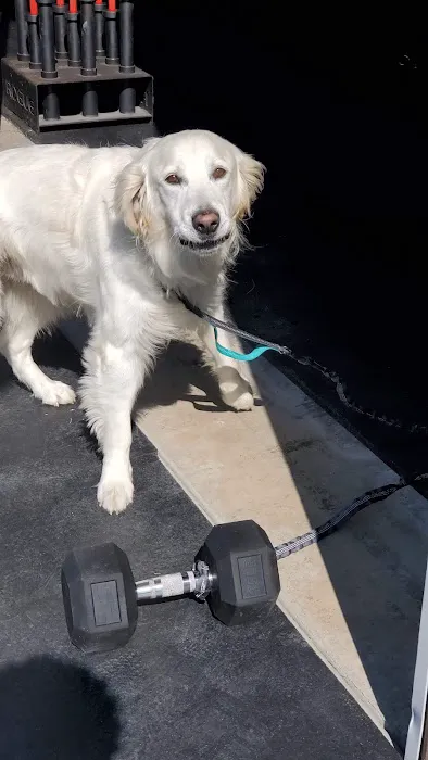 CrossFit Lake Stevens / Lake Stevens Strength & Conditioning Picture 3