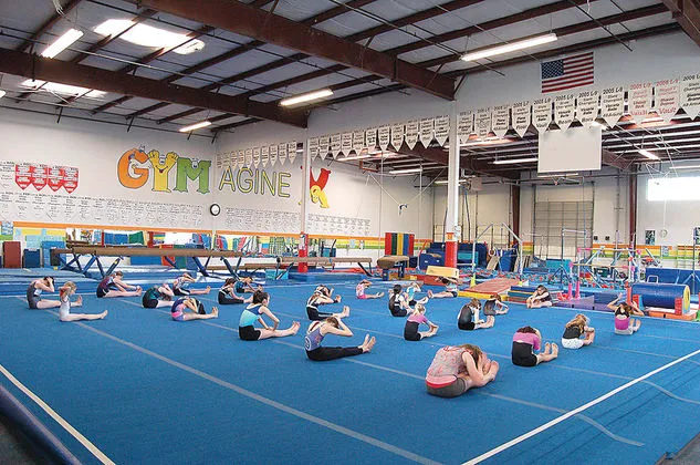 Gymagine Gymnastics Picture 3