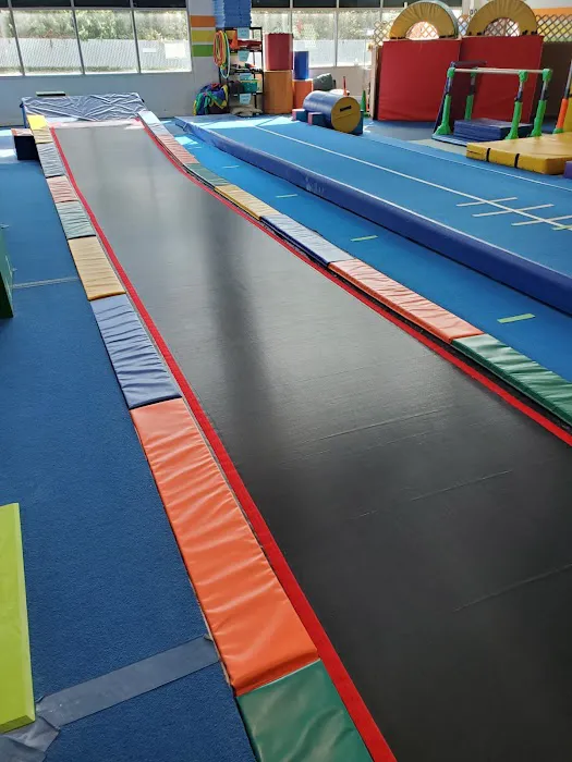 Gymagine Gymnastics Picture 4