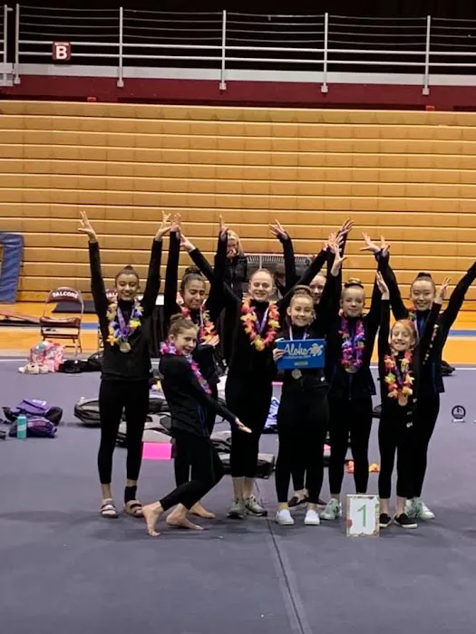 Gymagine Gymnastics Picture 8