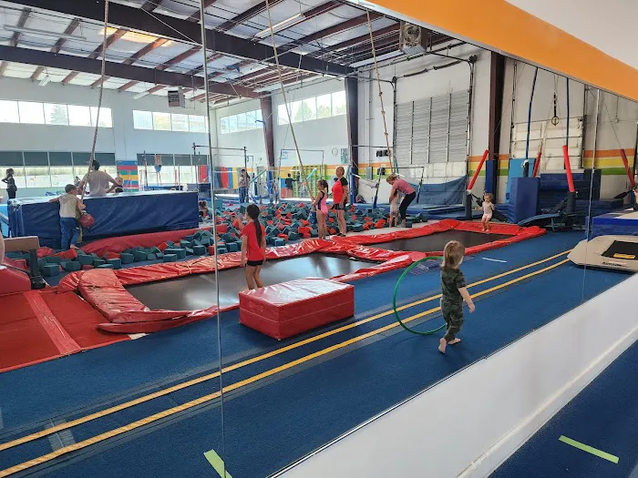 Gymagine Gymnastics Picture 6