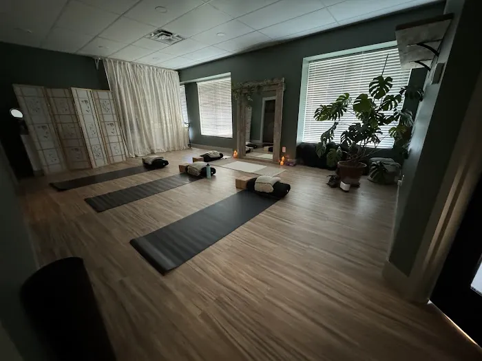 Om Collective LLC Picture 3