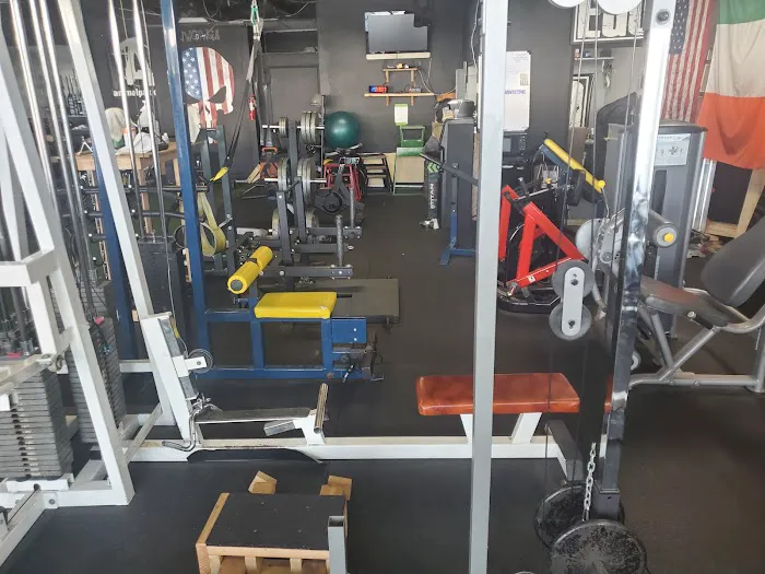 EGO Strength and Performance Picture 8