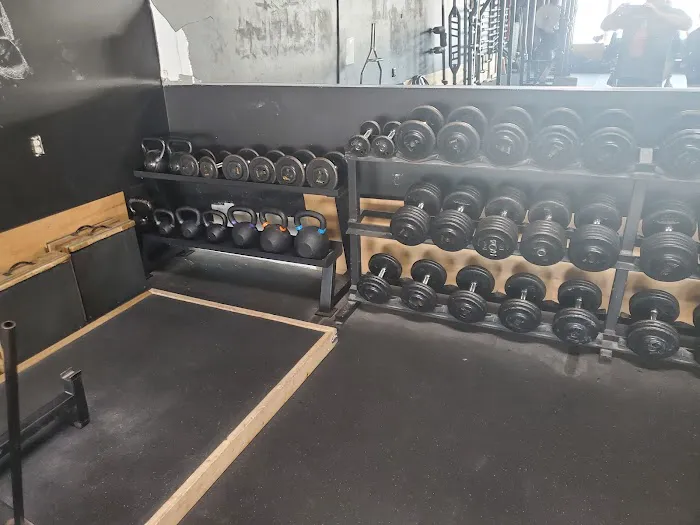 EGO Strength and Performance Picture 1