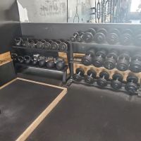 EGO Strength and Performance ico