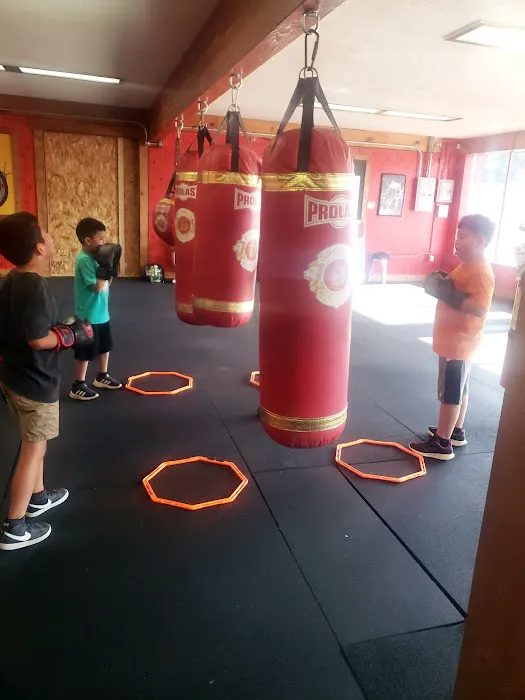 Britos Boxing/Brenda's Fit Picture 1