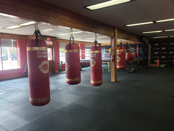 Britos Boxing/Brenda's Fit Picture 4