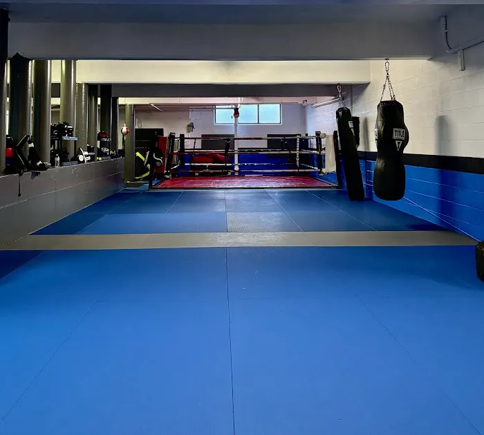 Ring Kings Boxing Picture 10