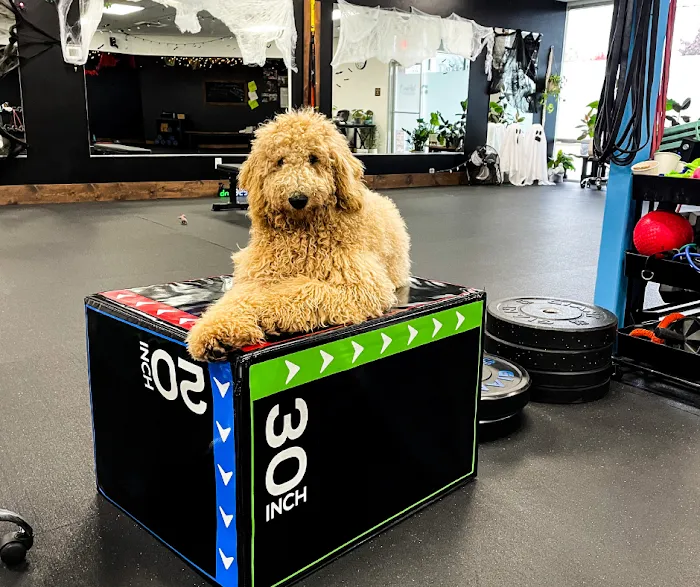 BadAsh Athletics Picture 7