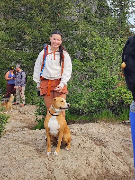 CrossFit 253/No Limits Fitness Picture 7