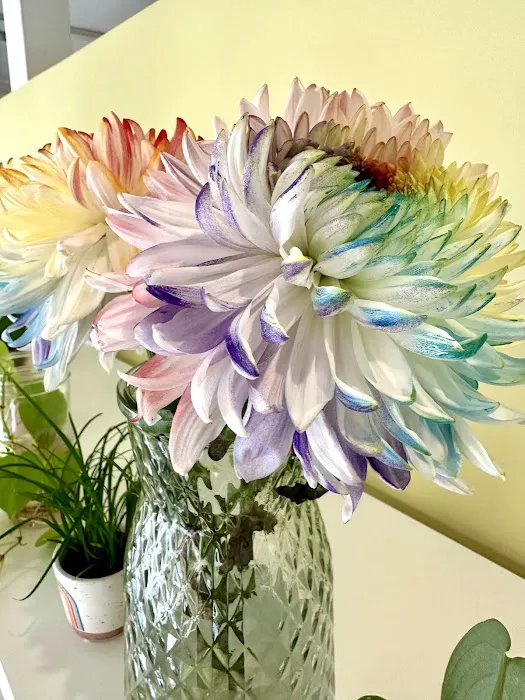 The Yoga Shala Everett Picture 10