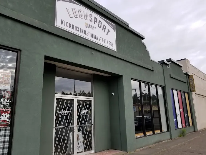 Ludusport Academy & Gym Picture 10