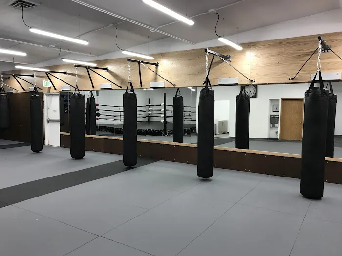 Ludusport Academy & Gym Picture 3