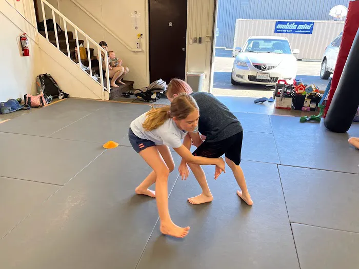 Ludusport Academy & Gym Picture 1