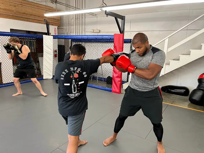 Ludusport Academy & Gym Picture 2