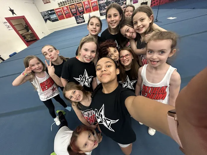 Natural Venom All Stars Picture 1