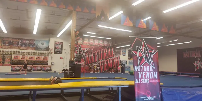 Natural Venom All Stars Picture 6