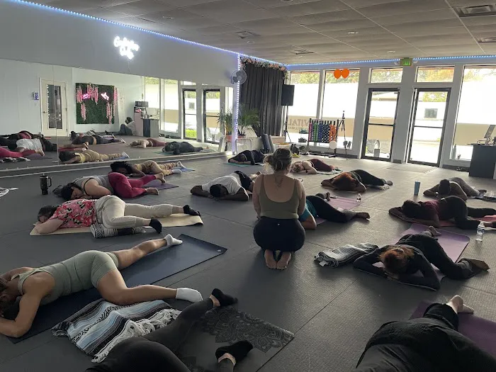 VIBE Fitness Studio Picture 4