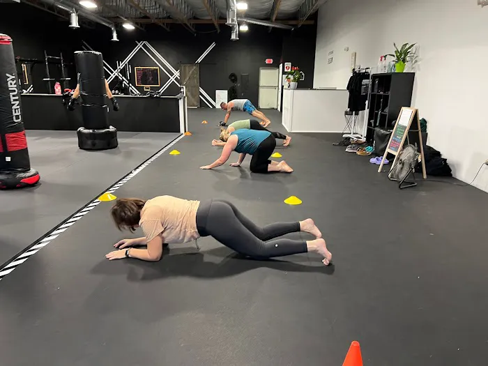 Good Fit Fit Fight Picture 10