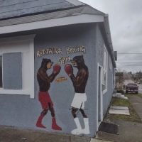 Rottweiler Boxing club ico