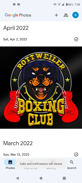 Rottweiler Boxing club Picture 3