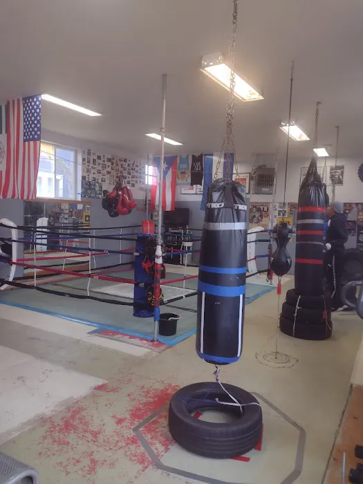 Rottweiler Boxing club Picture 4