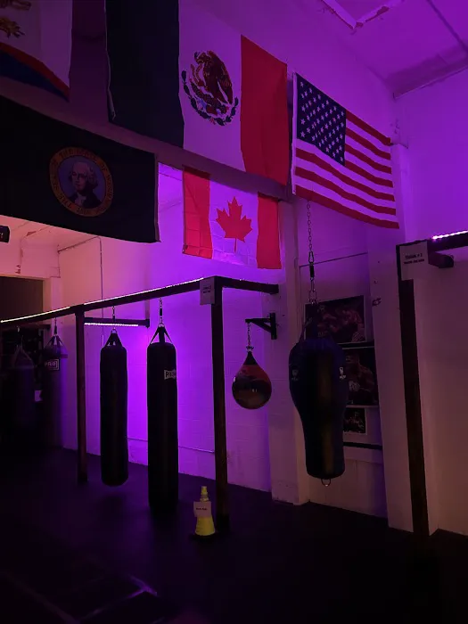 Carrillo Boxing Picture 4