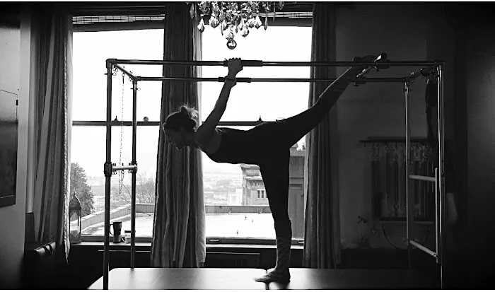 Integrated Pilates Tacoma Picture 4