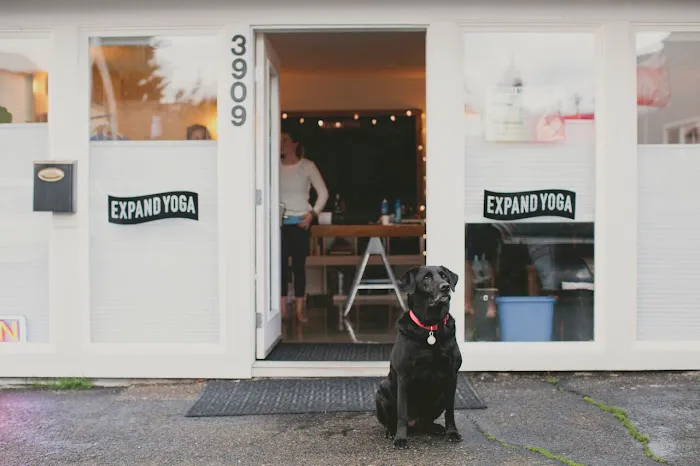 Expand Yoga - Tacoma Picture 8