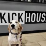 KickHouse Tacoma