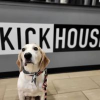 KickHouse Tacoma ico