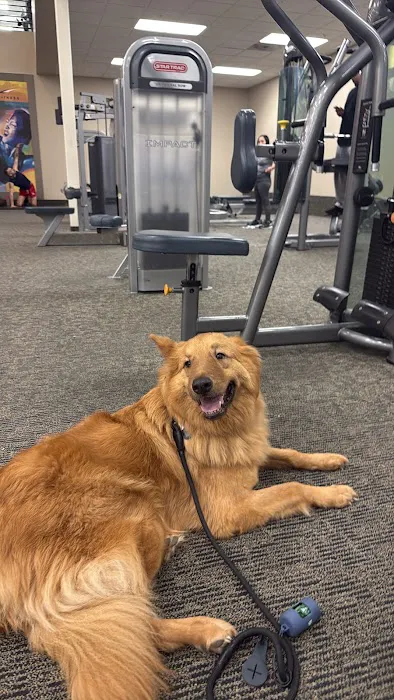 LA Fitness Picture 10