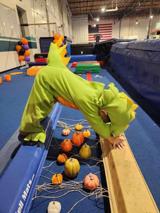 Ascend Gymnastics DuPont Picture 10