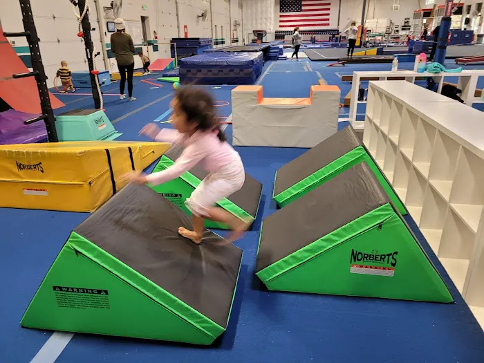 Ascend Gymnastics DuPont Picture 5