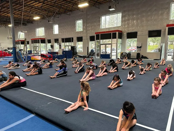 Ascend Gymnastics DuPont Picture 4