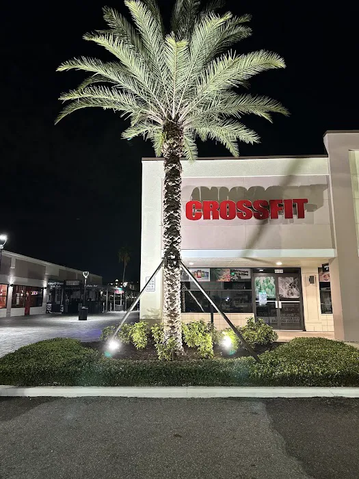 MouseTrap Fitness - Home of CrossFit MouseTrap Picture 3