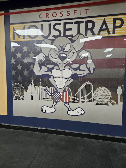 MouseTrap Fitness - Home of CrossFit MouseTrap Picture 1