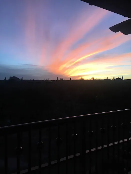 Survival of the Fittest Health Club Picture 3