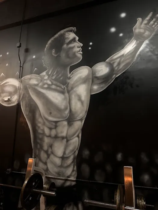 Steel Gym LLC Picture 5